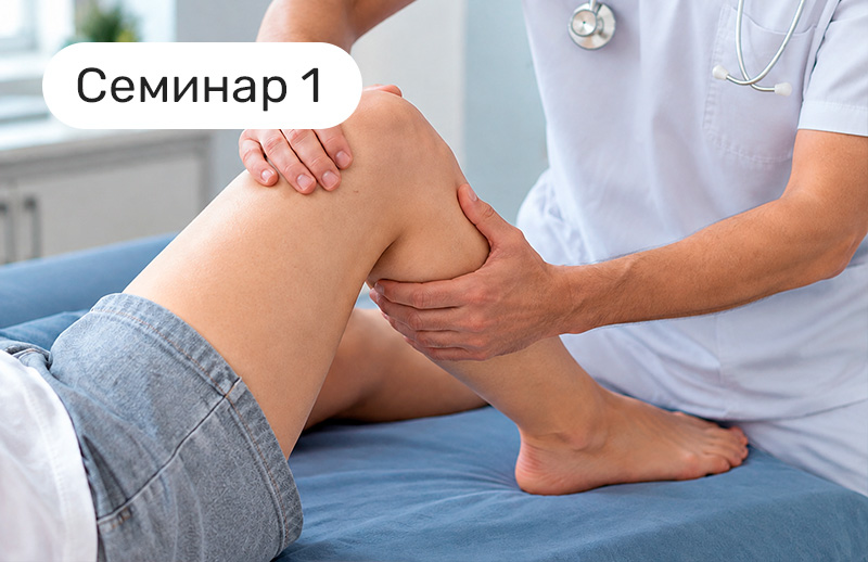 ПНФ-метод в реабилитации. Базовый уровень